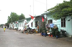 Tết đến với người tạm cư