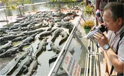 Suối Tiên  : “Thiên đường giữa trần gian” ảnh 3