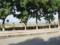 Sẽ xử lý kiên quyết