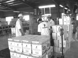 Cao su, công nghiệp chế biến, đóng gói