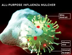 Ánh sáng cho  sự sống ảnh 6