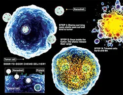 Ánh sáng cho  sự sống ảnh 5