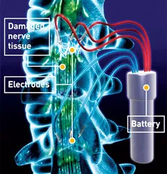 Ánh sáng cho  sự sống ảnh 4