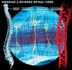 Ánh sáng cho  sự sống ảnh 3