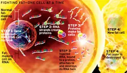 Ánh sáng cho  sự sống ảnh 2