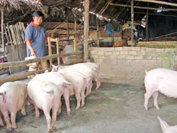 Được hỗ trợ tiền trước Tết 5 ngày