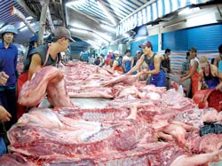 Nguồn thực phẩm của Sài Gòn