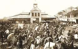 Chợ đầu mối của ASEAN ảnh 2