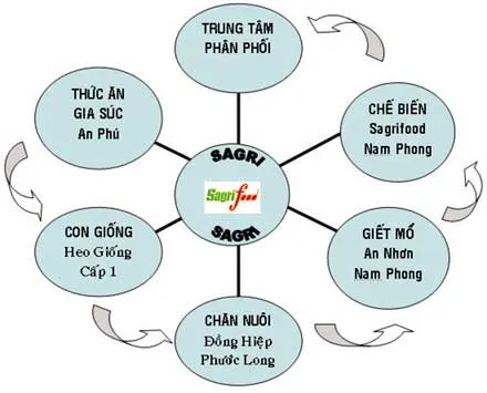 TPHCM sẽ có thịt heo an toàn đúng nghĩa