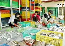 Nhiều bí mật đang rõ hơn