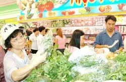 Câu chuyện sản xuất hàng sạch đang thời sự