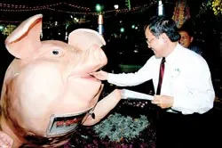 Khai mạc Hội hoa Xuân TPHCM 2007 ảnh 2