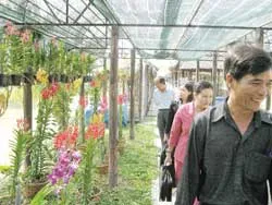 Thất vọng lớn!