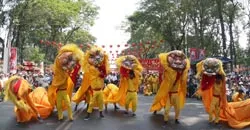 Ngày hội văn hoá người Hoa ảnh 3