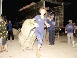 Những người đàn bà không ngủ ảnh 2