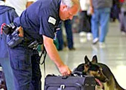 Báo động vì một thanh nam châm