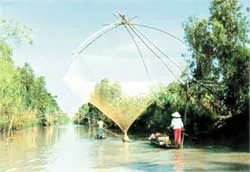 Tiếng hát bên bờ đê