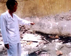 Sớm xử lý tình trạng gây ô nhiễm của Công ty Bông Bạch Tuyết