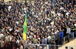 Nghịch lý ảnh 1