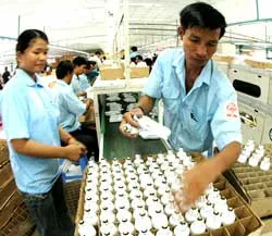 Sản xuất hơn 100 triệu bóng đèn compact tiết kiệm điện ảnh 1