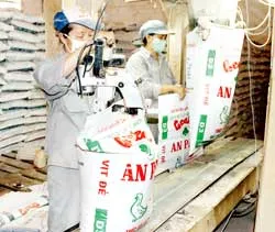 Mỗi tháng xuất khẩu 400 – 500 tấn thức ăn chăn nuôi