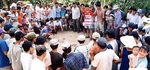 Xây xẩm với… cựa gà!