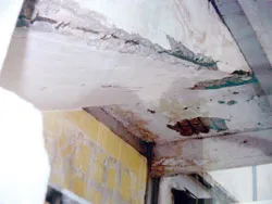 “Đèn xanh” đã bật ảnh 3