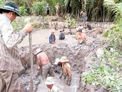 Triều cường làm vỡ đê bao, gây ngập trên diện rộng