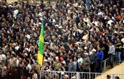 Sống chết cùng đội bóng quê "choa" ảnh 1