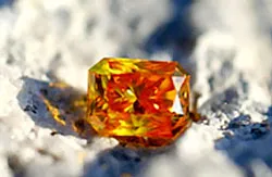 Bà, cháu kiện nhau ra tòa!