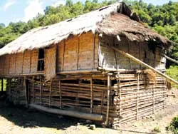 Trước nòng súng kíp ảnh 2