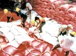 Giá phân bón ở ĐBSCL “leo thang”: Vẫn chưa có giải pháp hạ nhiệt