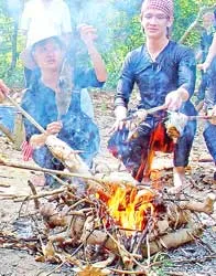 Sự trở về của “Văn hóa cá đồng”