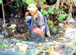 Mưu sinh theo các kênh rác