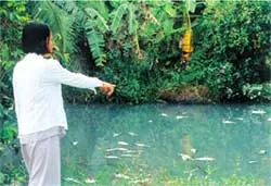 Hóa chất độc hại đổ ra ngoại thành