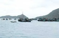 Cụm tin