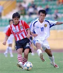 “Cáo già” nào cao tay ? ảnh 1