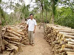 Sân chim Vàm Hồ trước miệng “bà Hỏa”