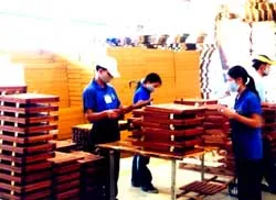 RUBICO Bước chuyển mình ấn tượng