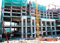 Thông tin thị trường