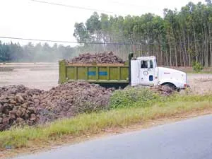 Từ làng đến phố ảnh 3