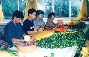 Từ làng đến phố ảnh 6