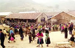 “Săn” tour mới