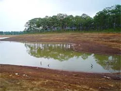 Đà Lạt thiếu nước