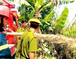 Nóng bỏng U Minh hạ