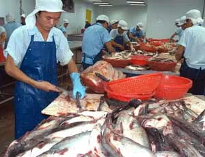 Thêm 37 doanh nghiệp được xuất khẩu thủy sản vào châu Âu
