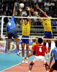 Giải mã hiện tượng Hoàng Long Long An ảnh 1