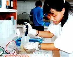 Bài 1: Thừa “ngọn”, thiếu “gốc”