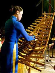 “Tiếng vọng quê hương” - đêm nhạc dân tộc của gia đình NSƯT Đinh Linh ảnh 5