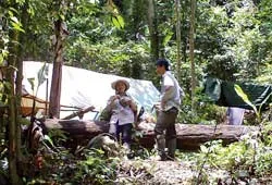 Hàng trăm người đào vàng trái phép ở Hướng Hóa